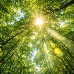 uv light and your eyes damage