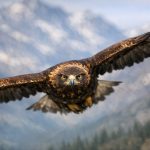 altitude affects visual reaction time mountain athletes