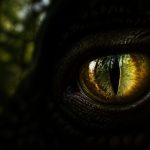 animal eye glowing