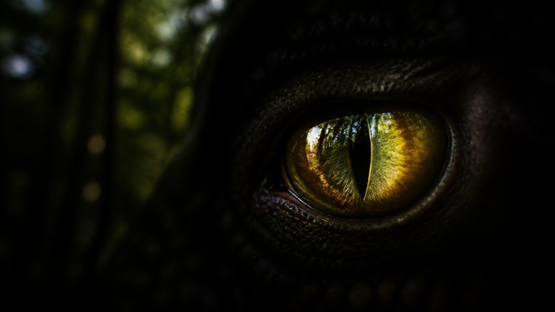 animal eye glowing