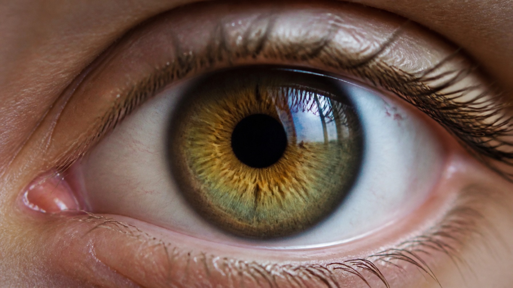 human white of eyes