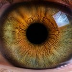 menopause and dry eye link